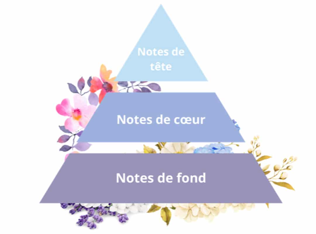 pyramide olfactive avec un décor forma en arrière plan