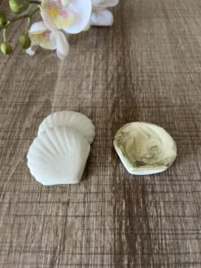 3 Coquillages en céramique vert et blanc posé sur un plan de travail marron